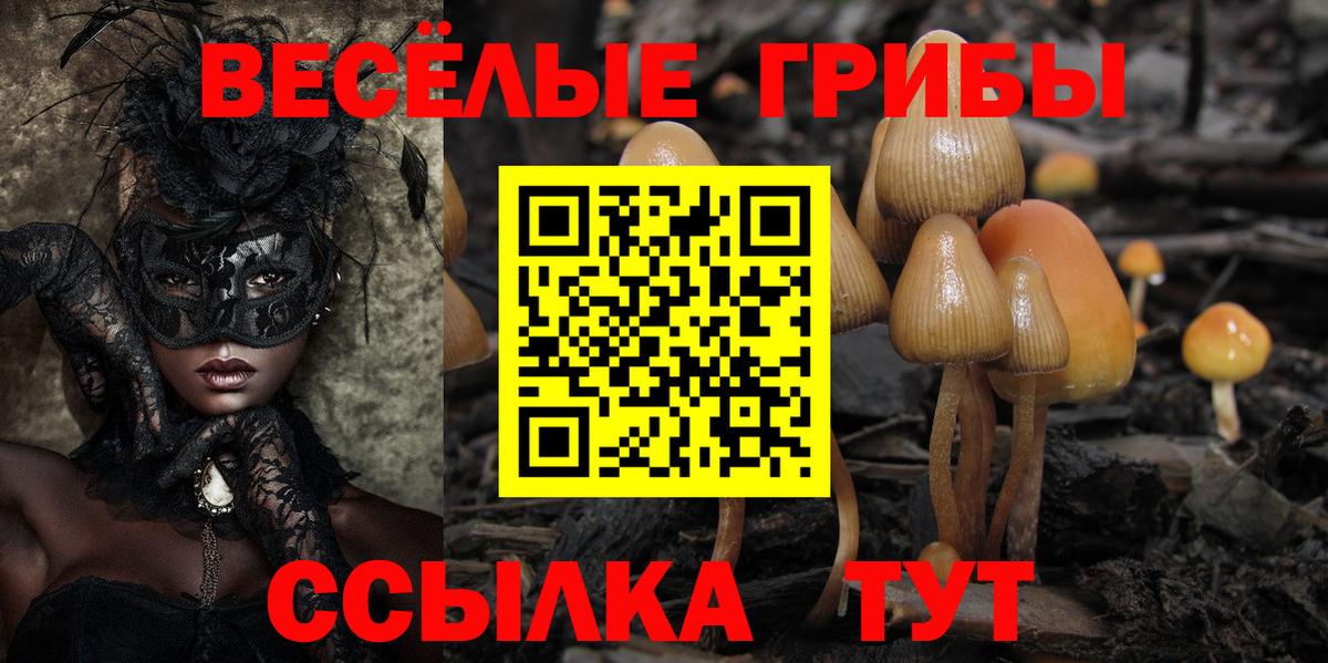 Псилоцибиновые грибы GOLDEN TEACHER Городец