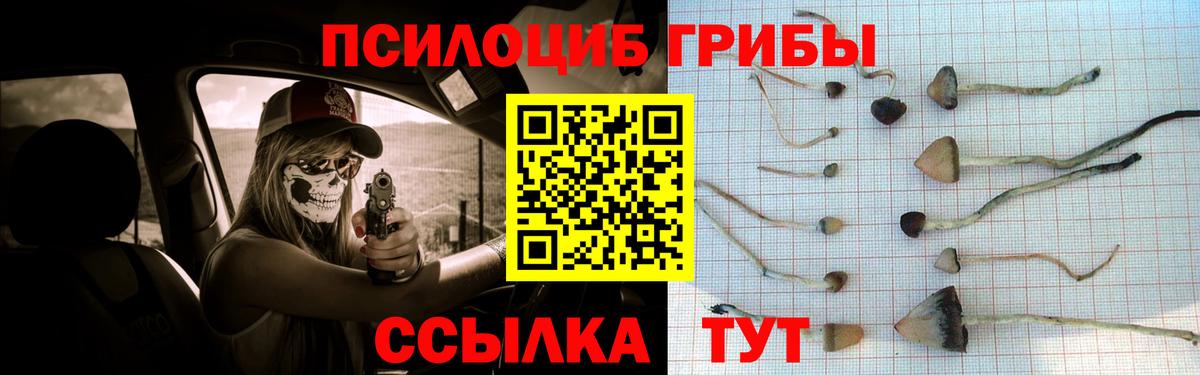 Псилоцибиновые грибы Cubensis  Вход с VPN  Городец 